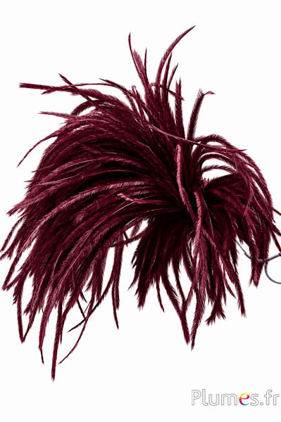 Pennacchio struzzo con anello - alt. 18-20 cm - bordò